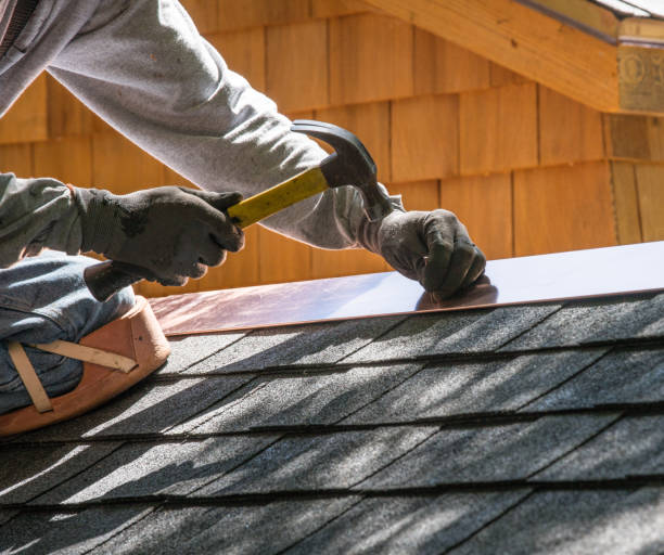 Best Roof Gutter Cleaning  in Smithfield, NC